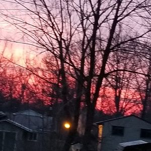 Meet your Posher, Rae